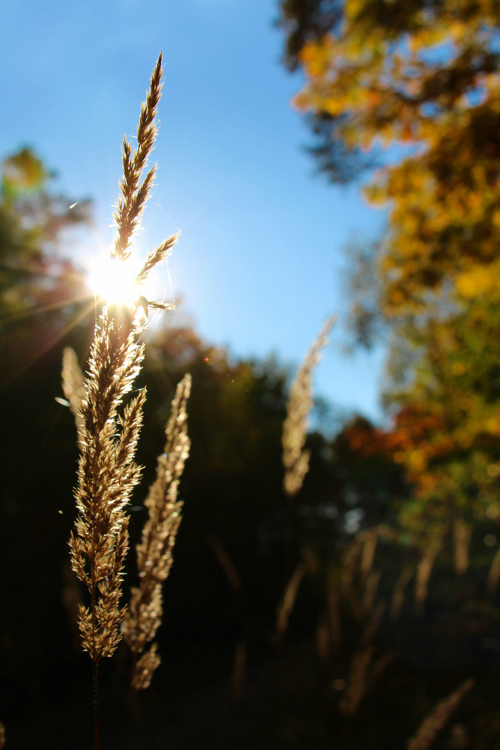 Die ersten Sonnenstrahlen