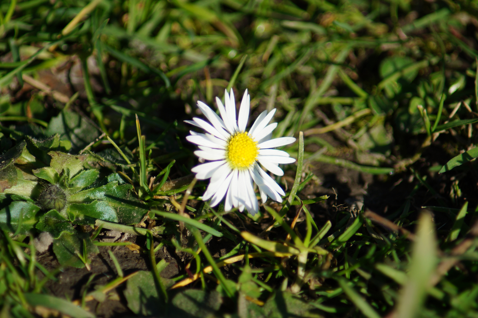 Die ersten Sonnenstrahlen