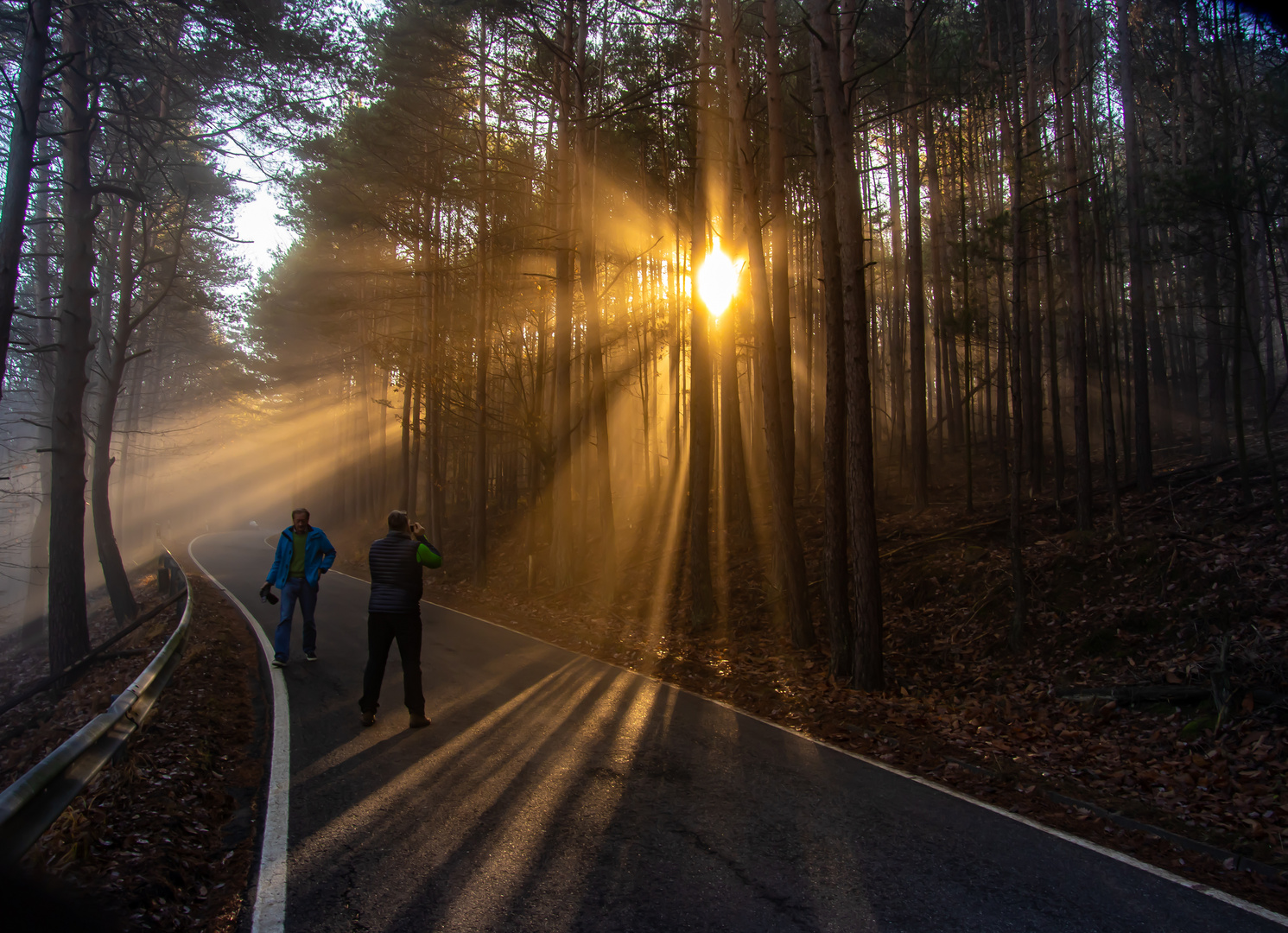 Die ersten Sonnenstrahlen 