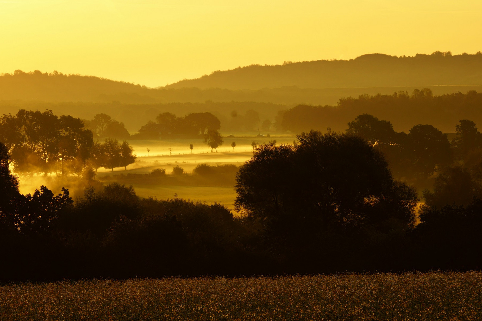 Die Ersten Sonnenstrahlen