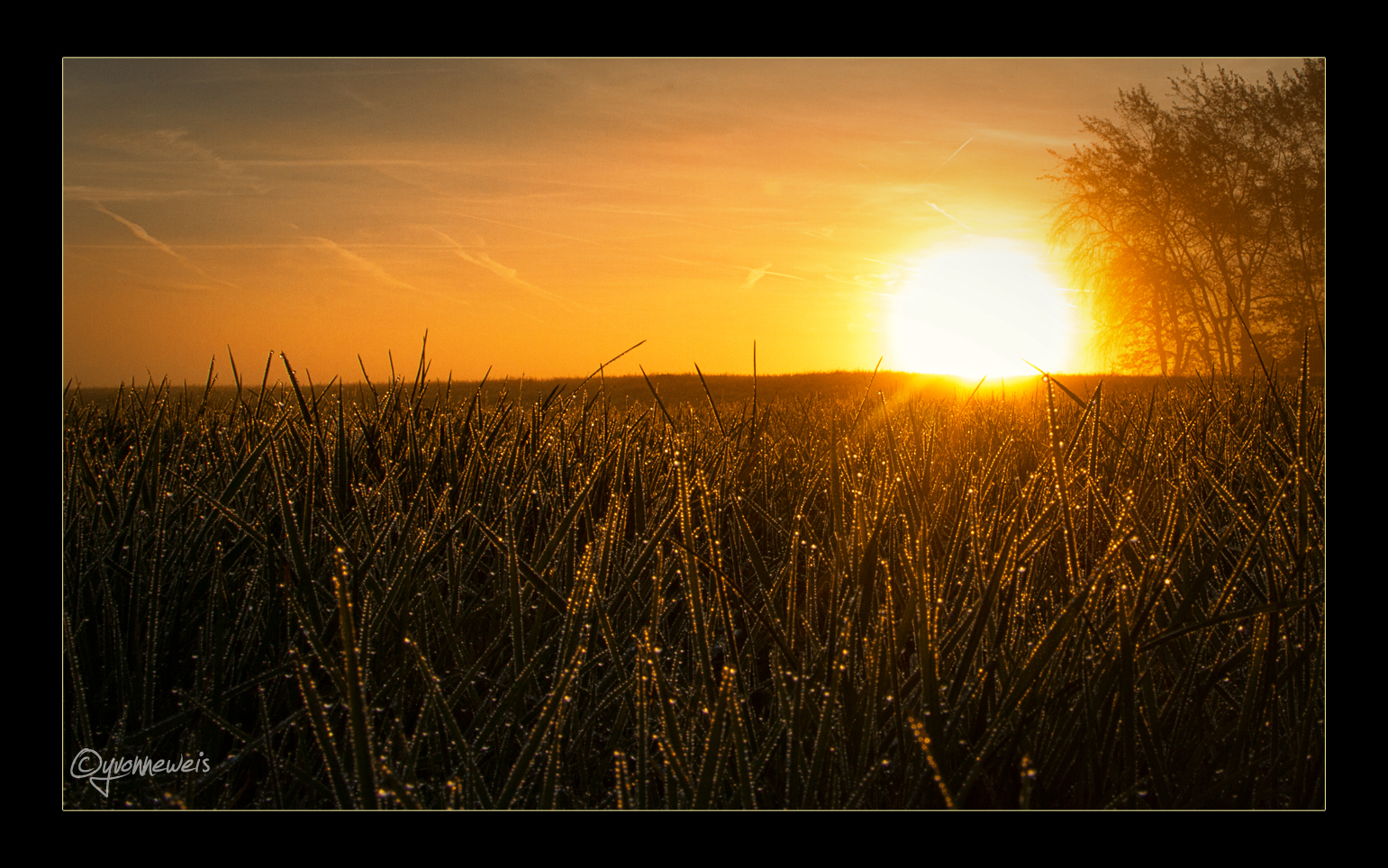 Die ersten Sonnenstrahlen