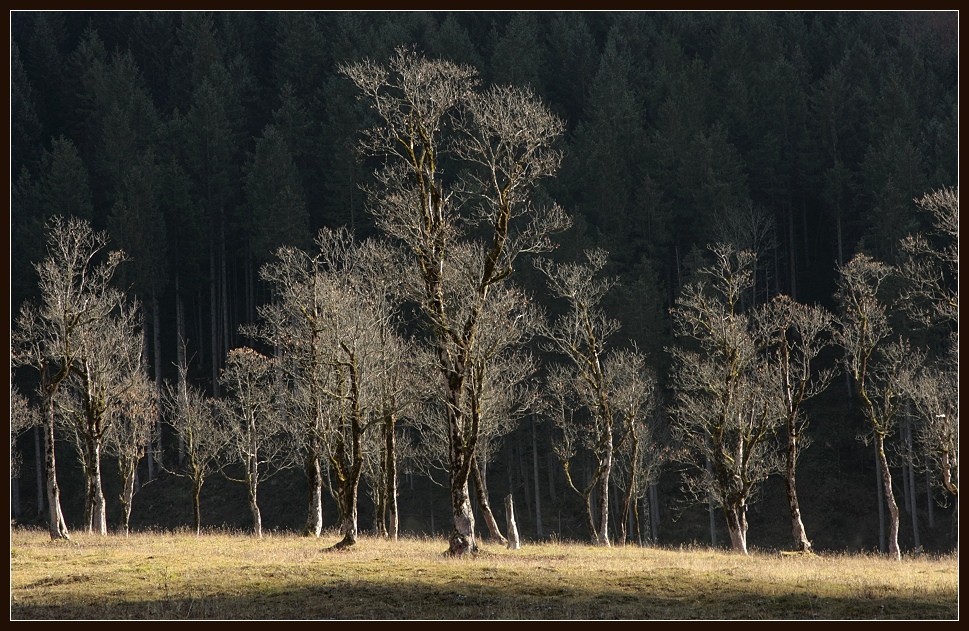 Die ersten Sonnenstrahlen