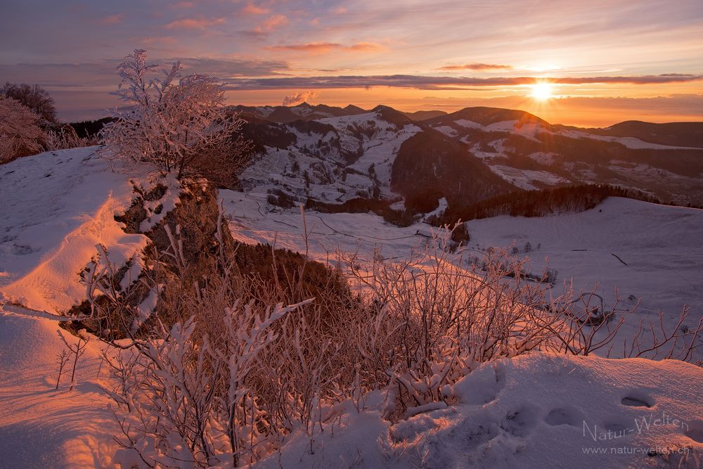 Die ersten Sonnenstrahlen