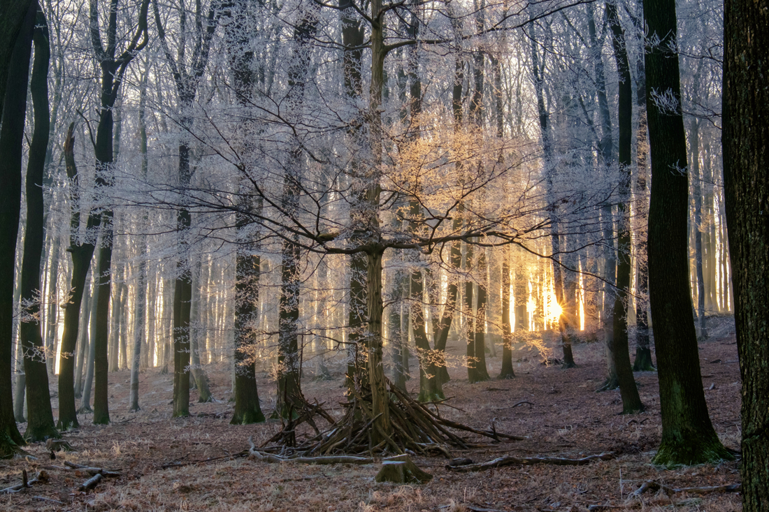 Die ersten Sonnenstrahlen