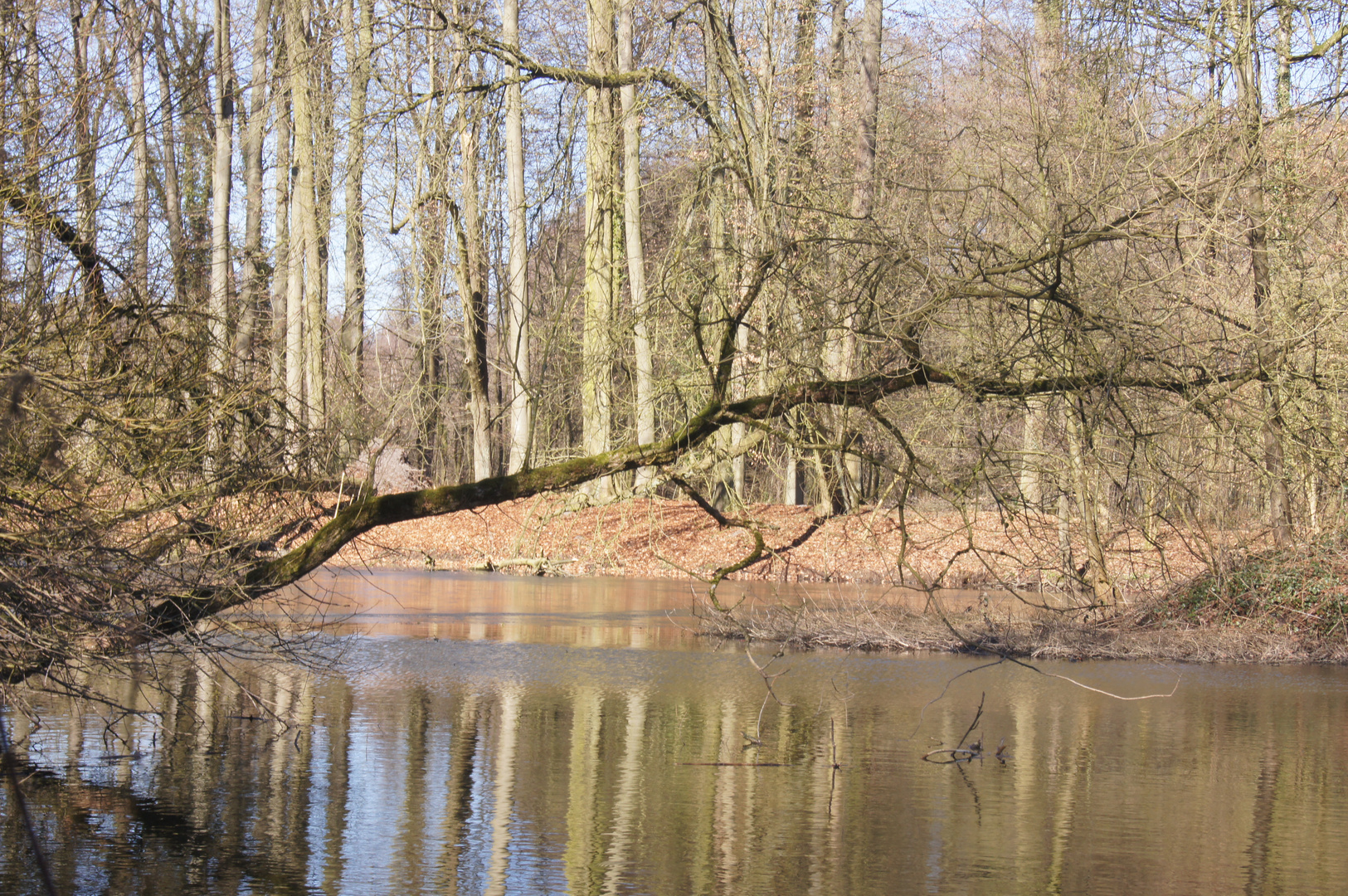 Die ersten Sonnenstrahlen