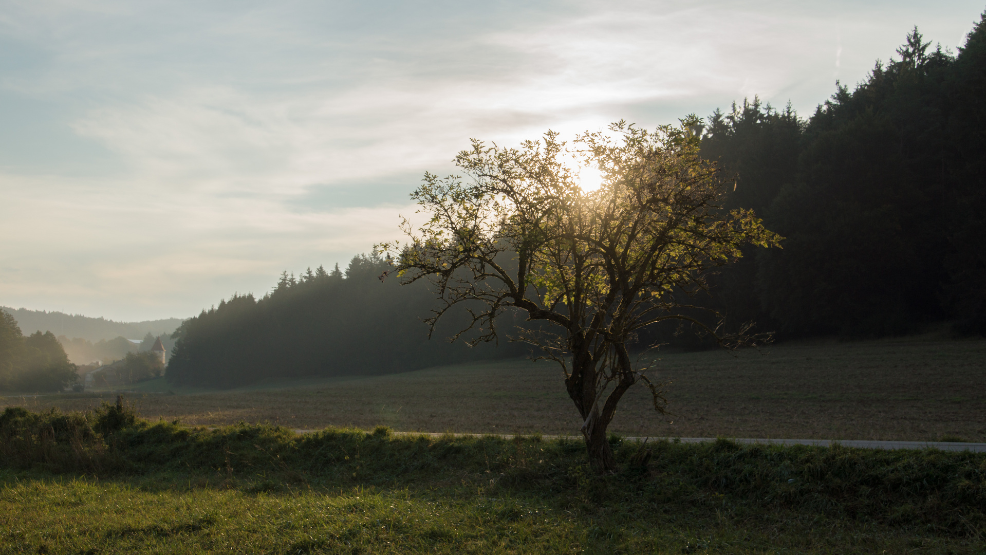 Die ersten Sonnenstrahlen