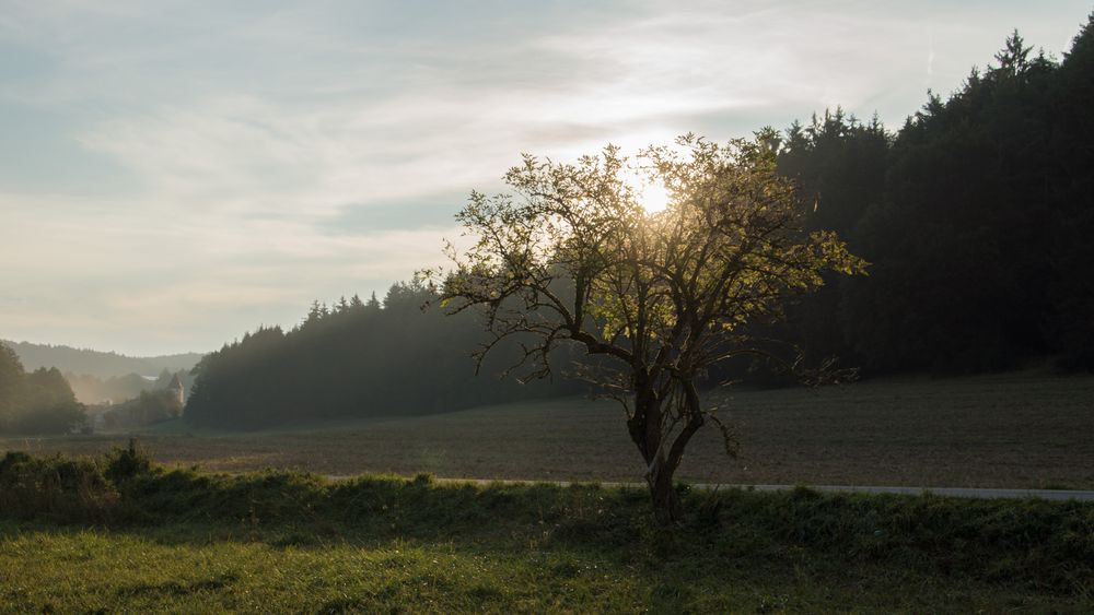 Die ersten Sonnenstrahlen