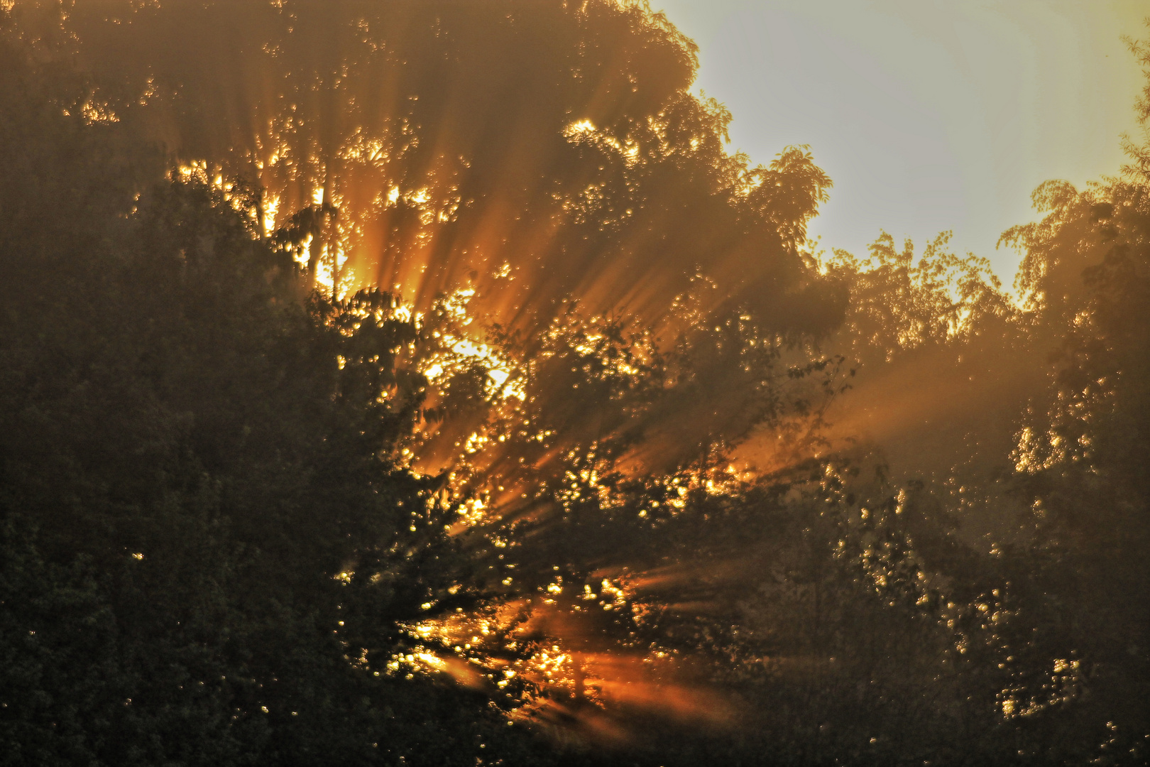 Die ersten Sonnenstrahlen am frühen Morgen