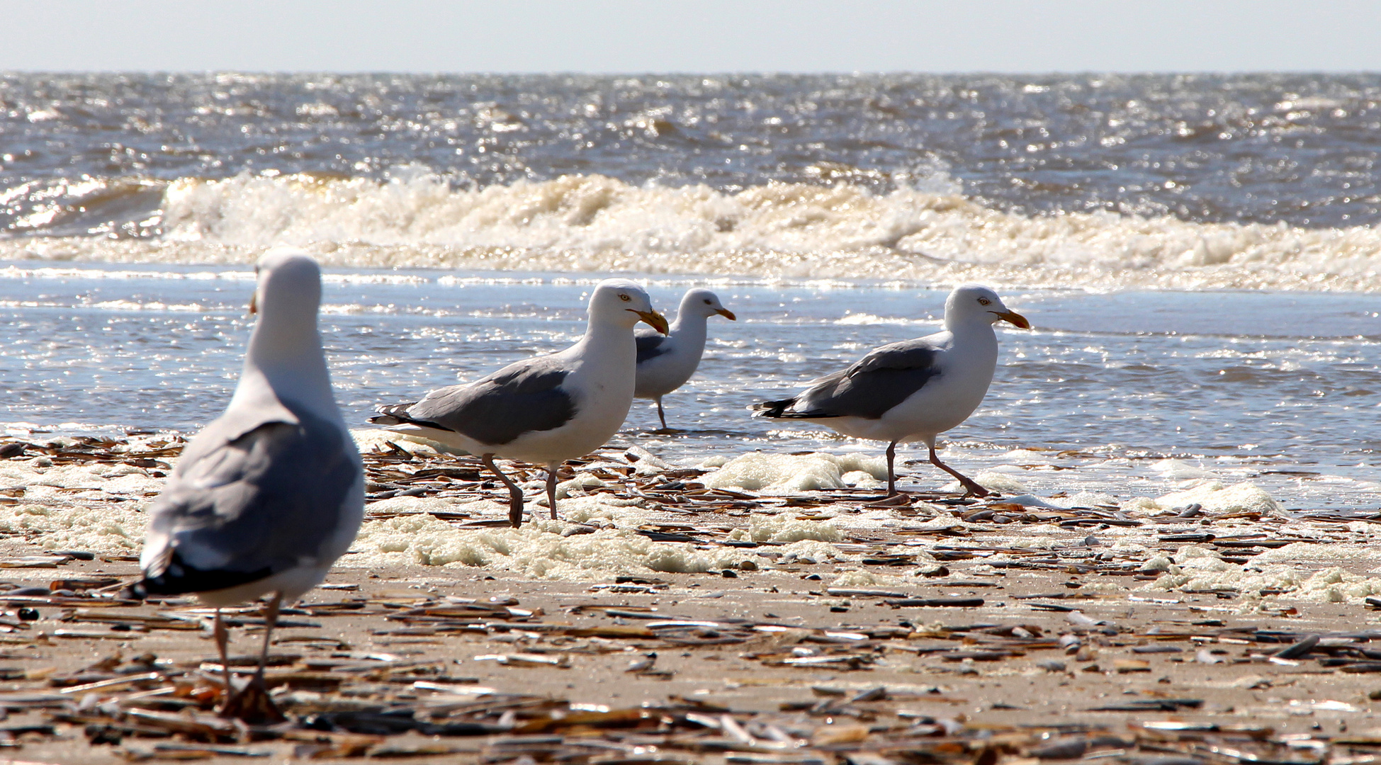 Die ersten Sonnenstrahlen am Meer