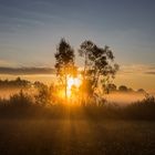 Die ersten Sonnenstrahlen