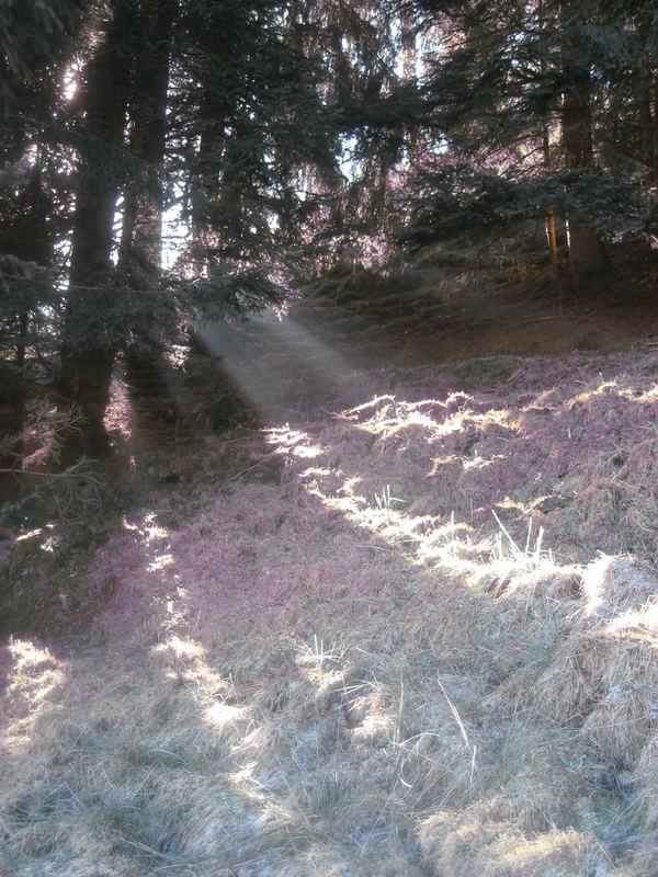 Die ersten Sonnenstrahlen