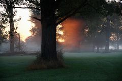 Die ersten Sonnenstrahlen