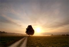 ... die ersten Sonnenstrahlen ... II.