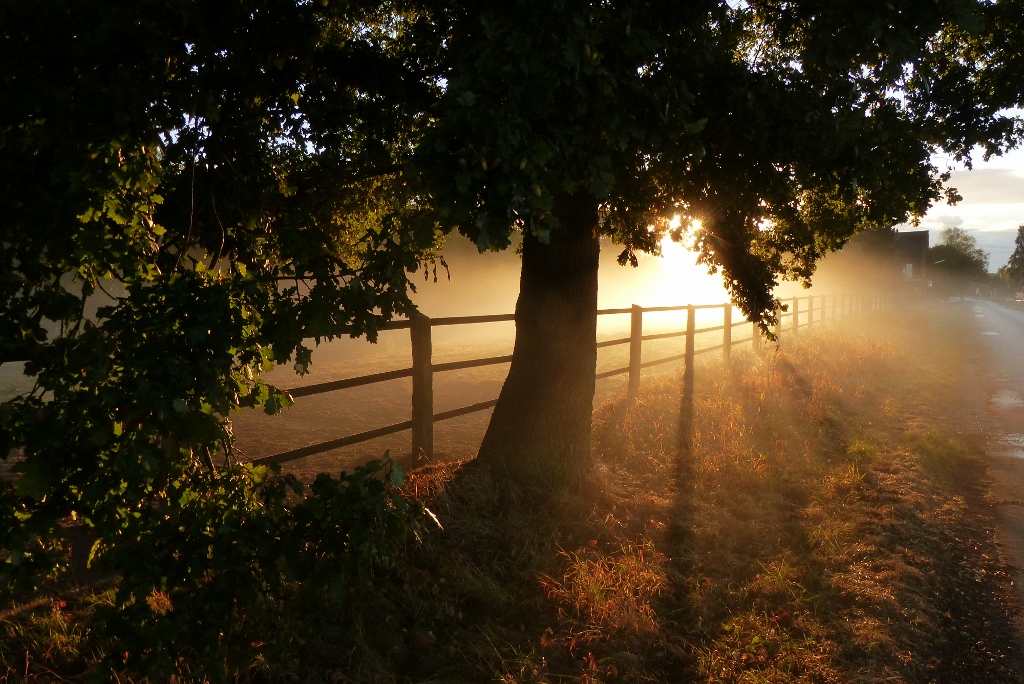 Die ersten Sonnenstrahlen in der LIppeaue