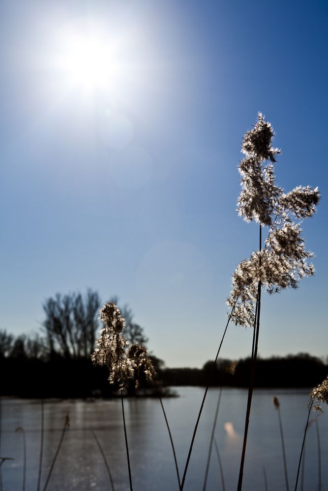 Die ersten Sonnenstrahlen in Hemmingen am See