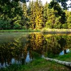 Die ersten Sonnenstrahlen spiegeln sich im Teich