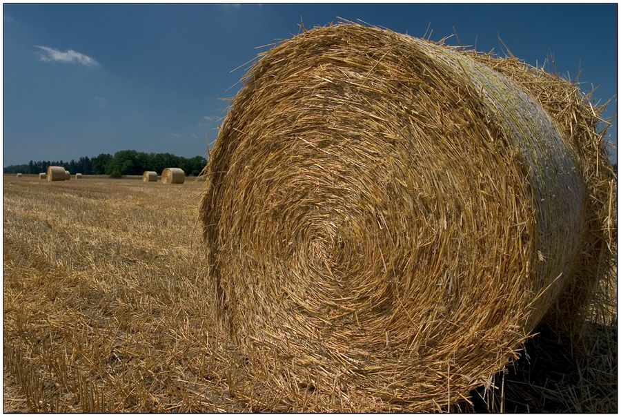 die ersten Strohballen