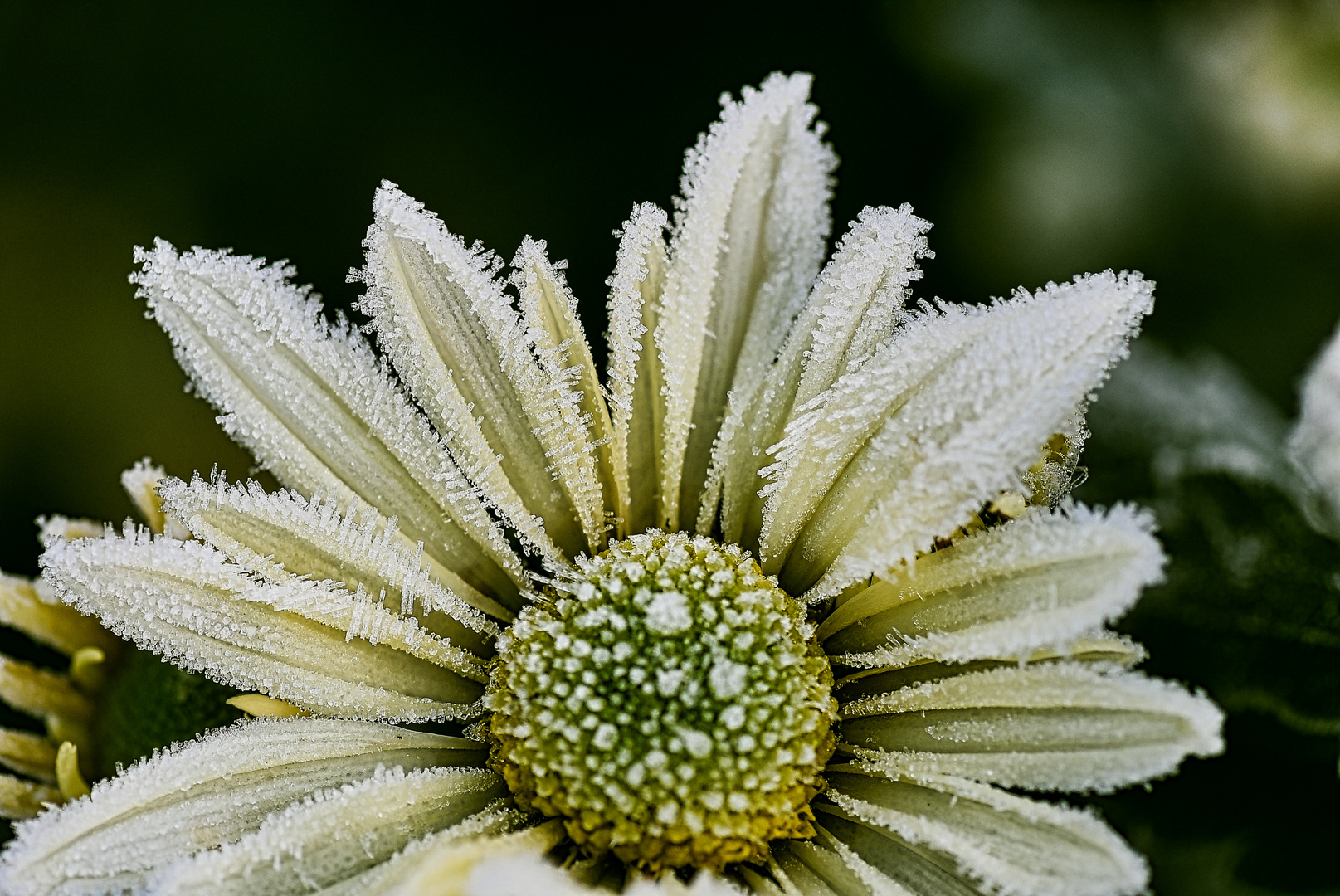 Die ersten Vorboten des Winters