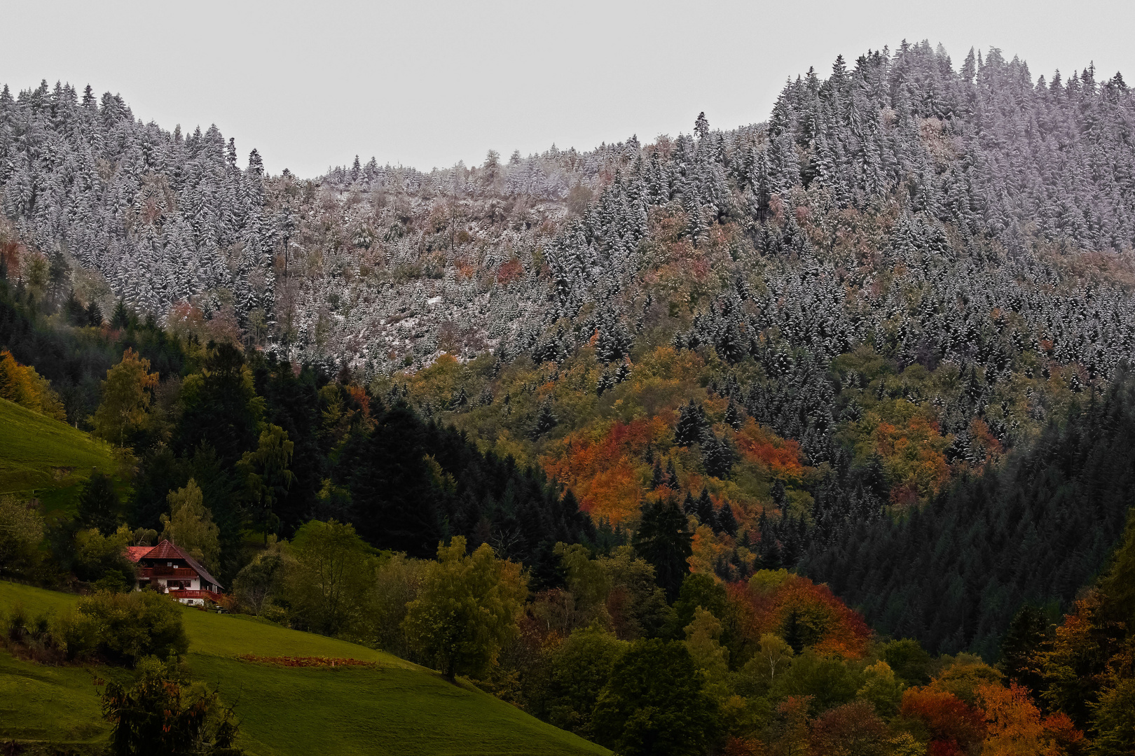 Die ersten Winterboten im Herbst