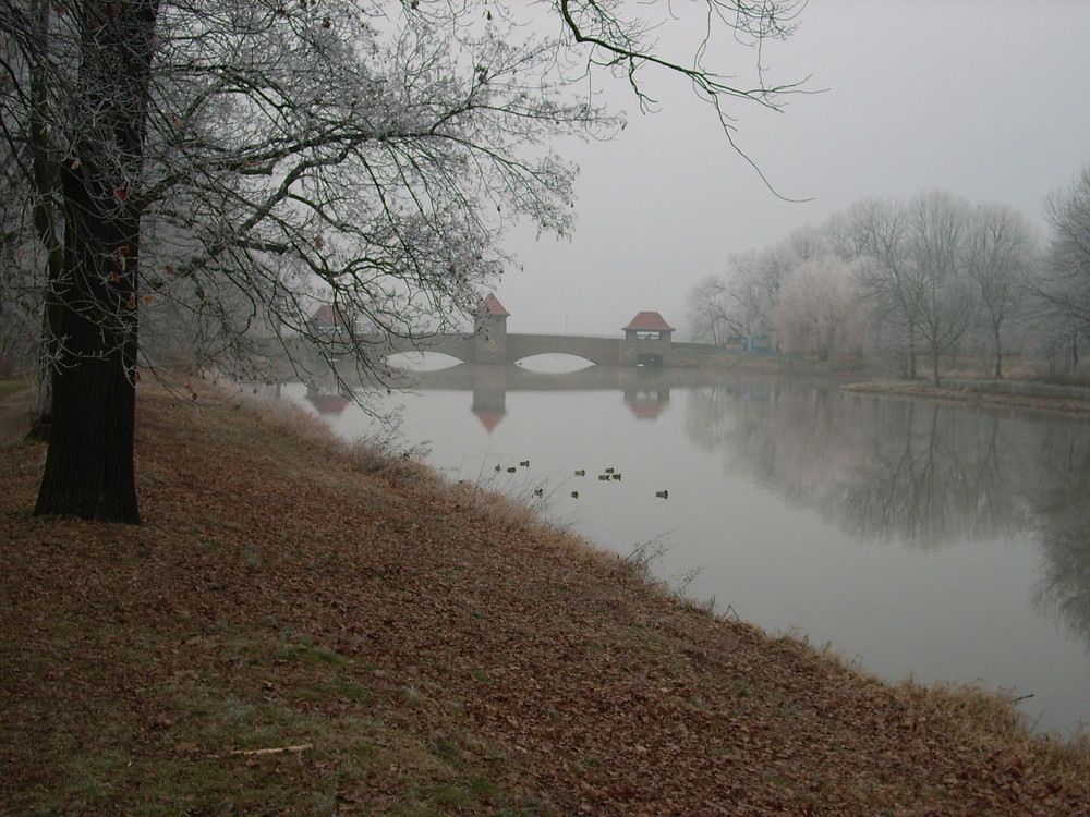 die ersten Wintertage