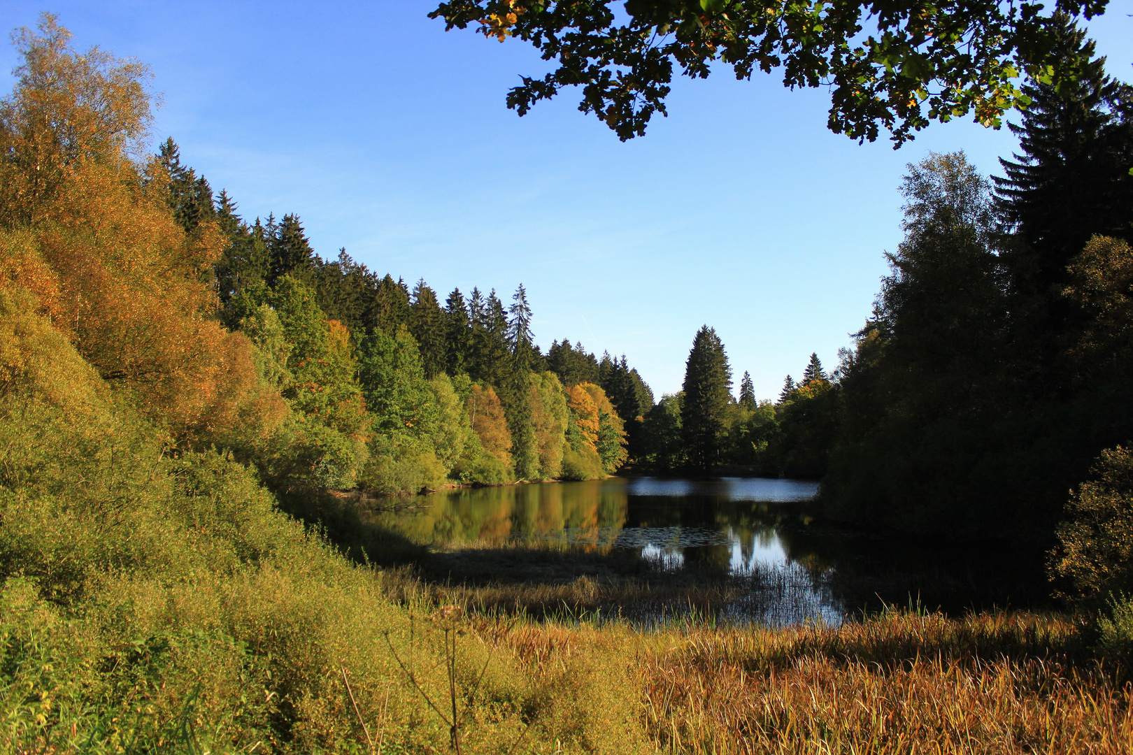 -Die ersten Zeichen des Herbstes im Solling-