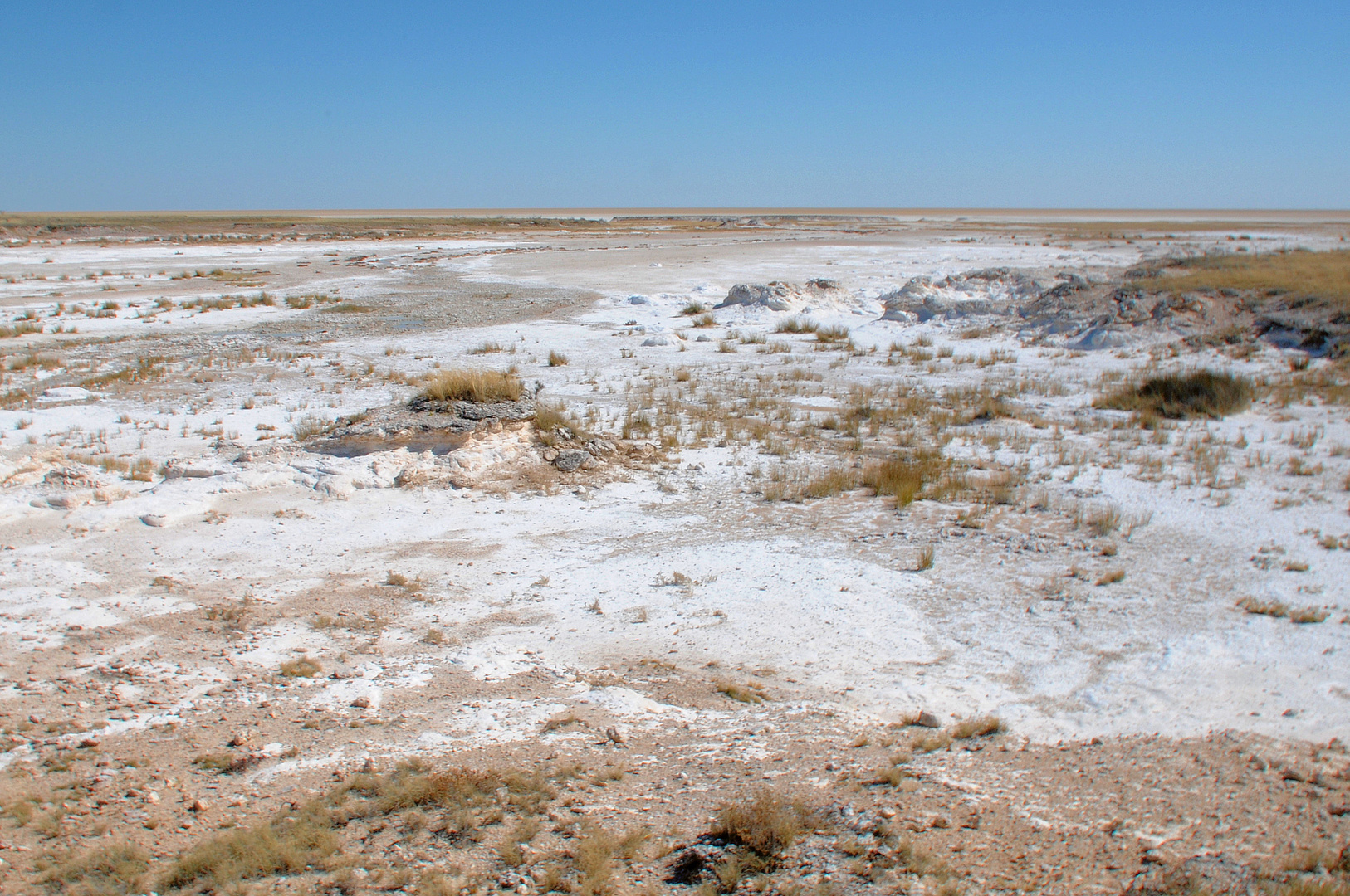 Die Etosha-Phanne ist bis auf einige widerstandsfähige, Salz liebende Gräser vegetationslos.