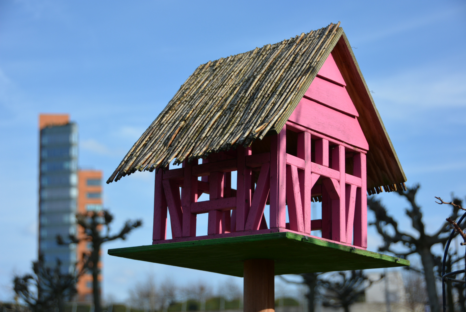 Die etwas andere Architektur im Medienhafen