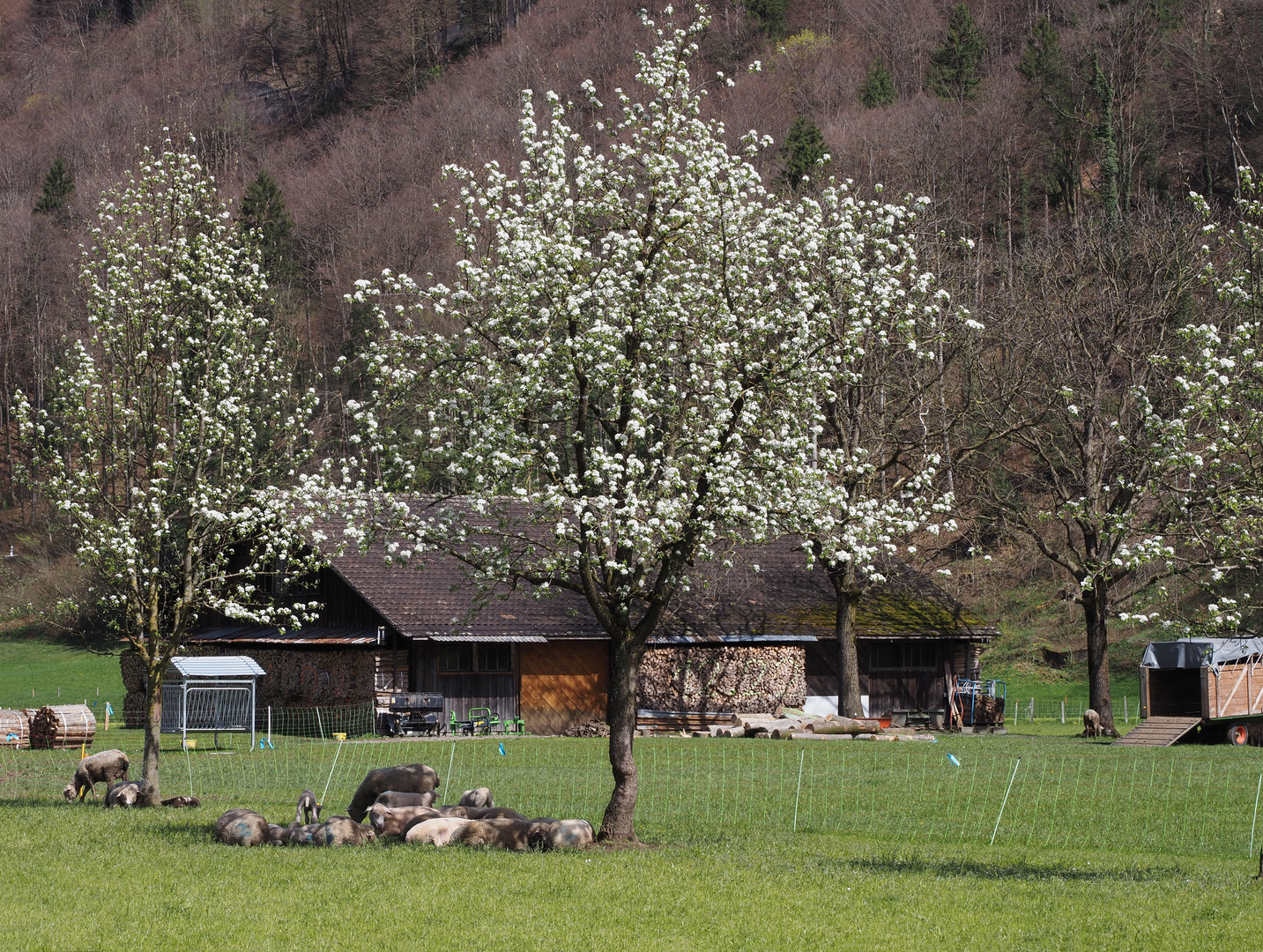 die etwas anderen besucher