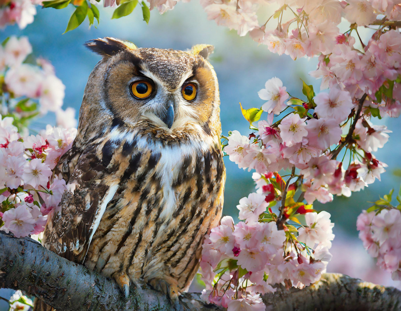 Die Eule auf dem Kirschbaum Foto & Bild ki natur, ki tiere