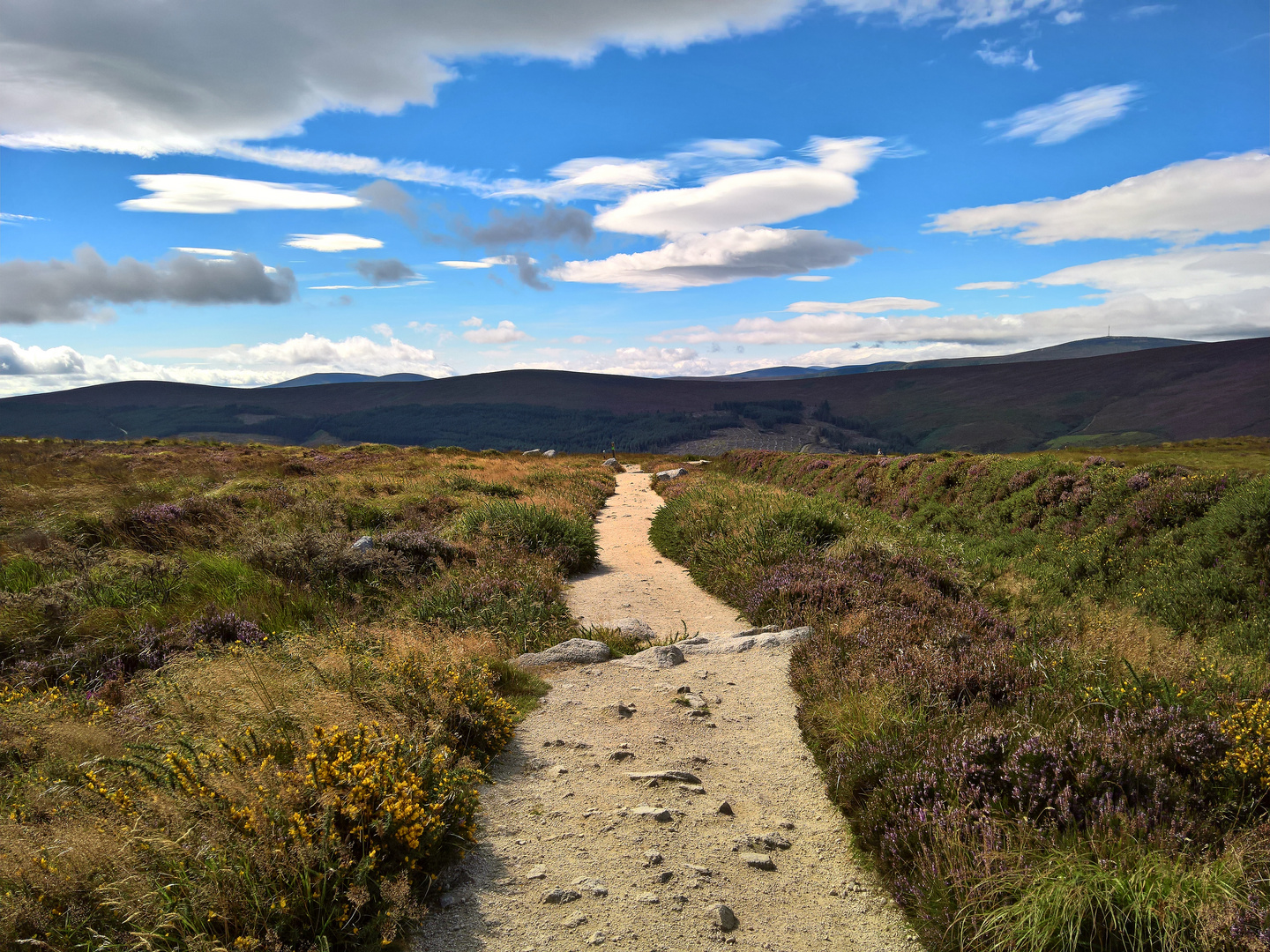 Die ewige Weite der Wicklow Mountains in Irland