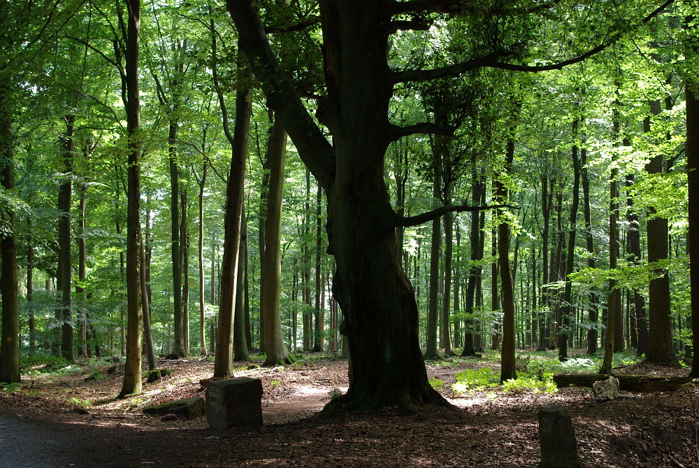 Die Ewigkeit im Augenblick