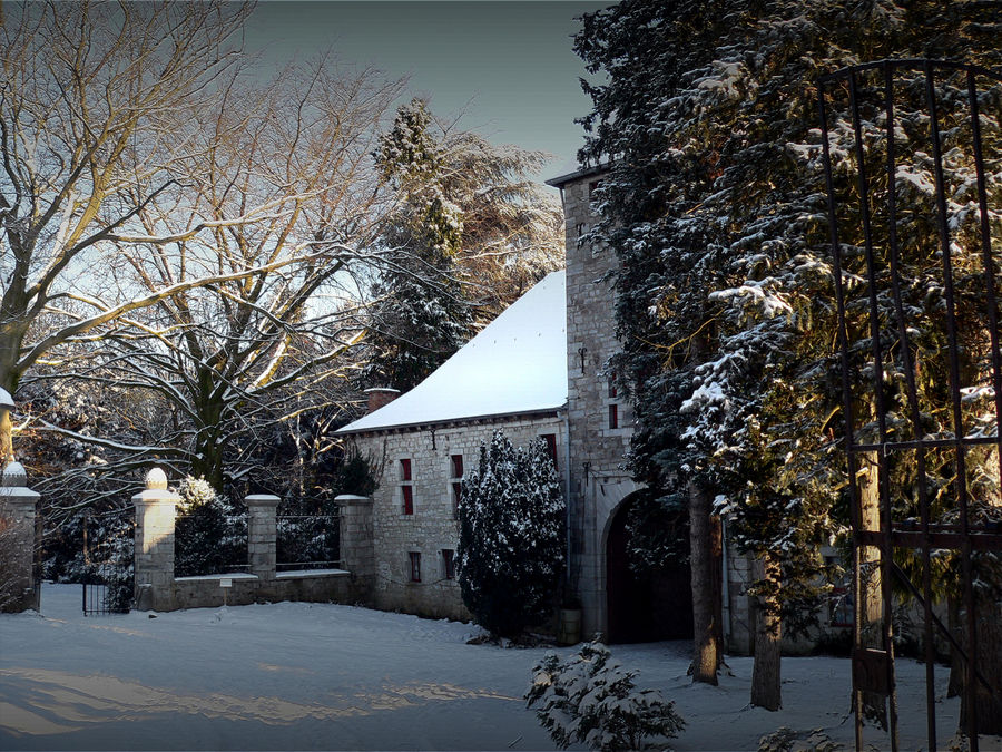 Die Eyneburg.Innenhof.Winter