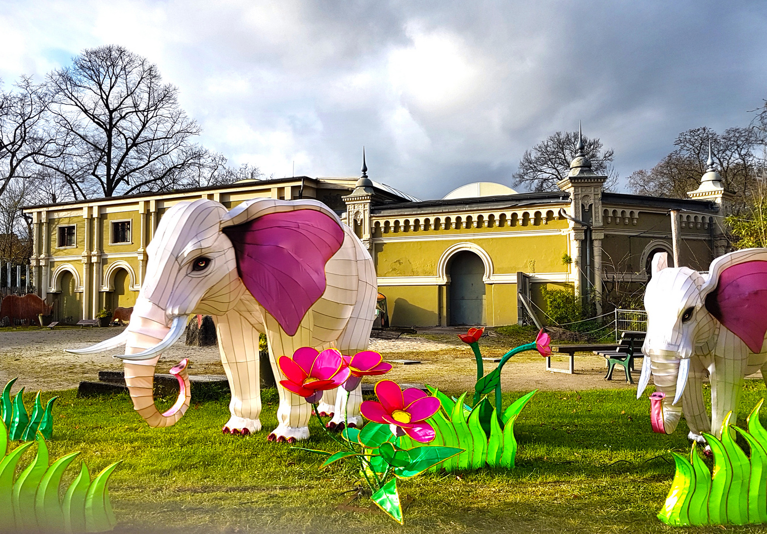 Die fabelhafte Welt der chinesischen Elefanten im Kölner Zoo