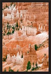 Die Fabelwelt des Bryce Canyons