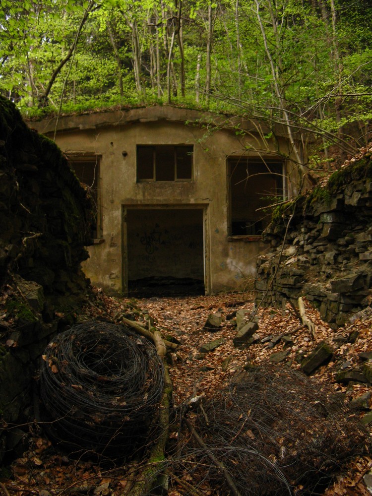 Die Fabrik im Wald