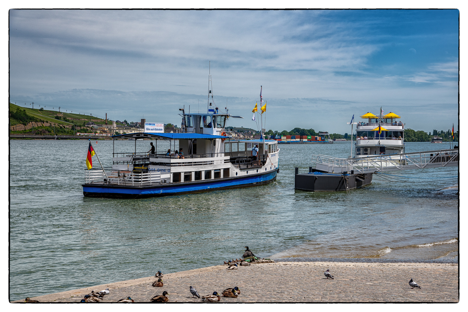 die Fähre von Bingen nach Rüdesheim