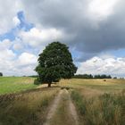 Die Fahrradtour