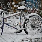 Die Fahrradtour fällt heute aus  