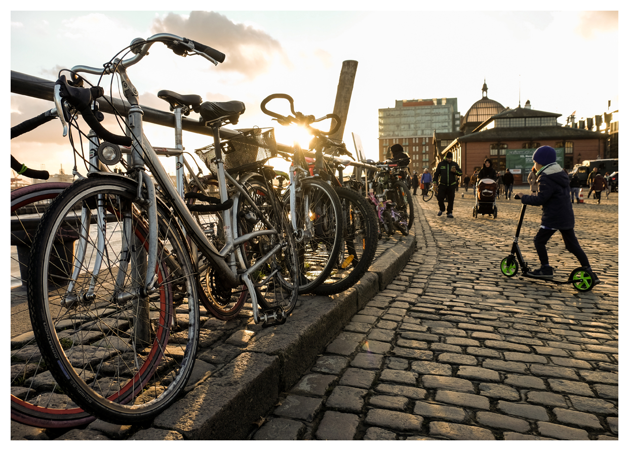 elbe fahrrad
