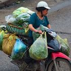 Die Fahrt zum Dong Xuan Markt