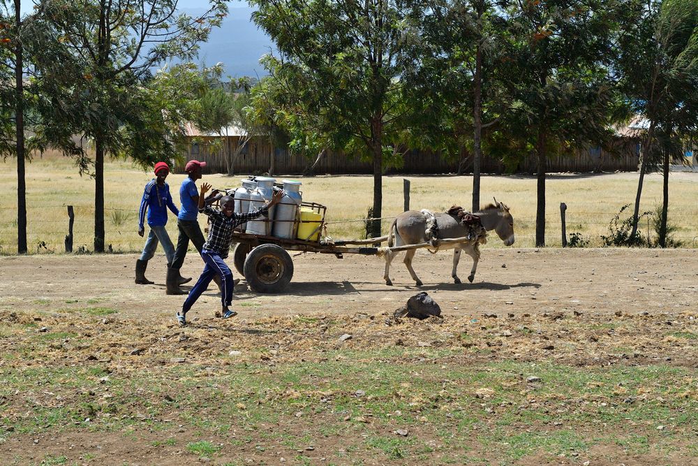 die Fahrt zum Lake Nakuru...