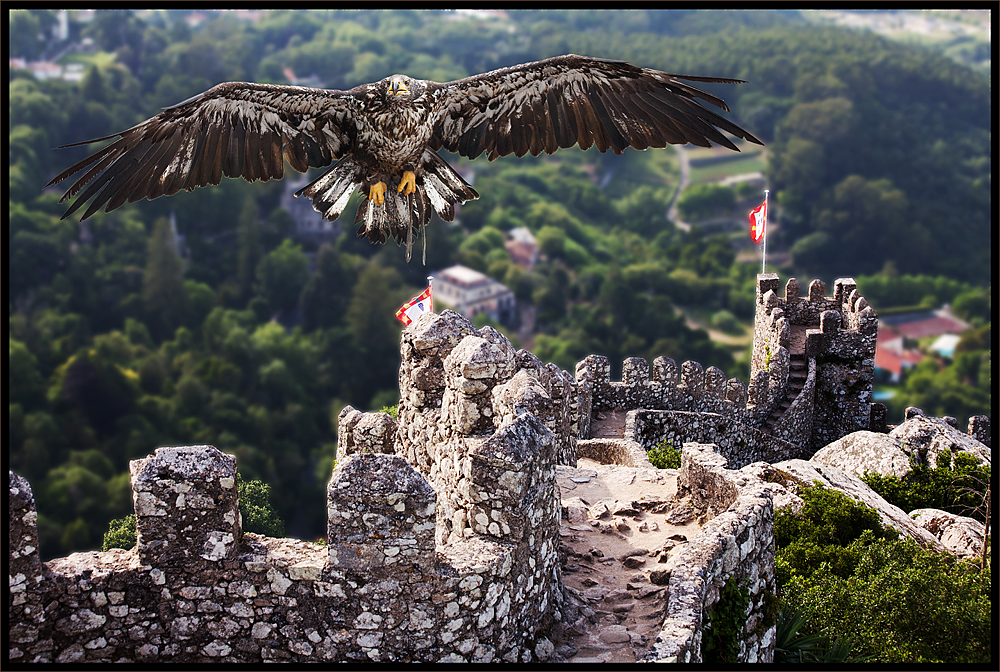 die Falkner - Burg Foto & Bild | fotomontage, composing , sonstiges ...