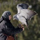 Die Falknerin 1, Wildgehege Hellenthal ,16.02.2018