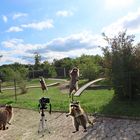 "Die Familie auf dem Minigolfplatz