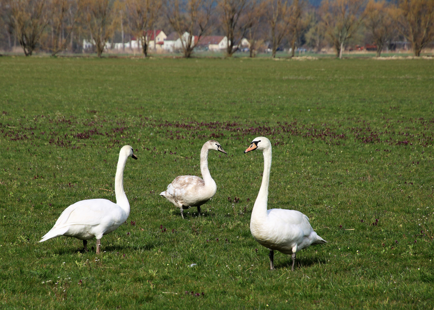 Die Familie