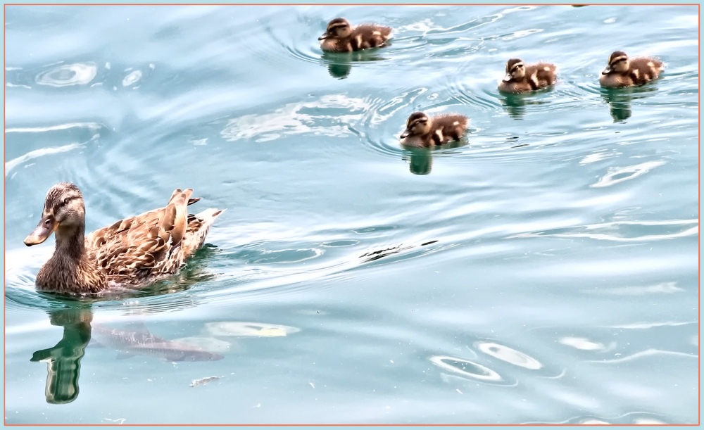 DIE FAMILIE IN URLAUB AM GARDASEE