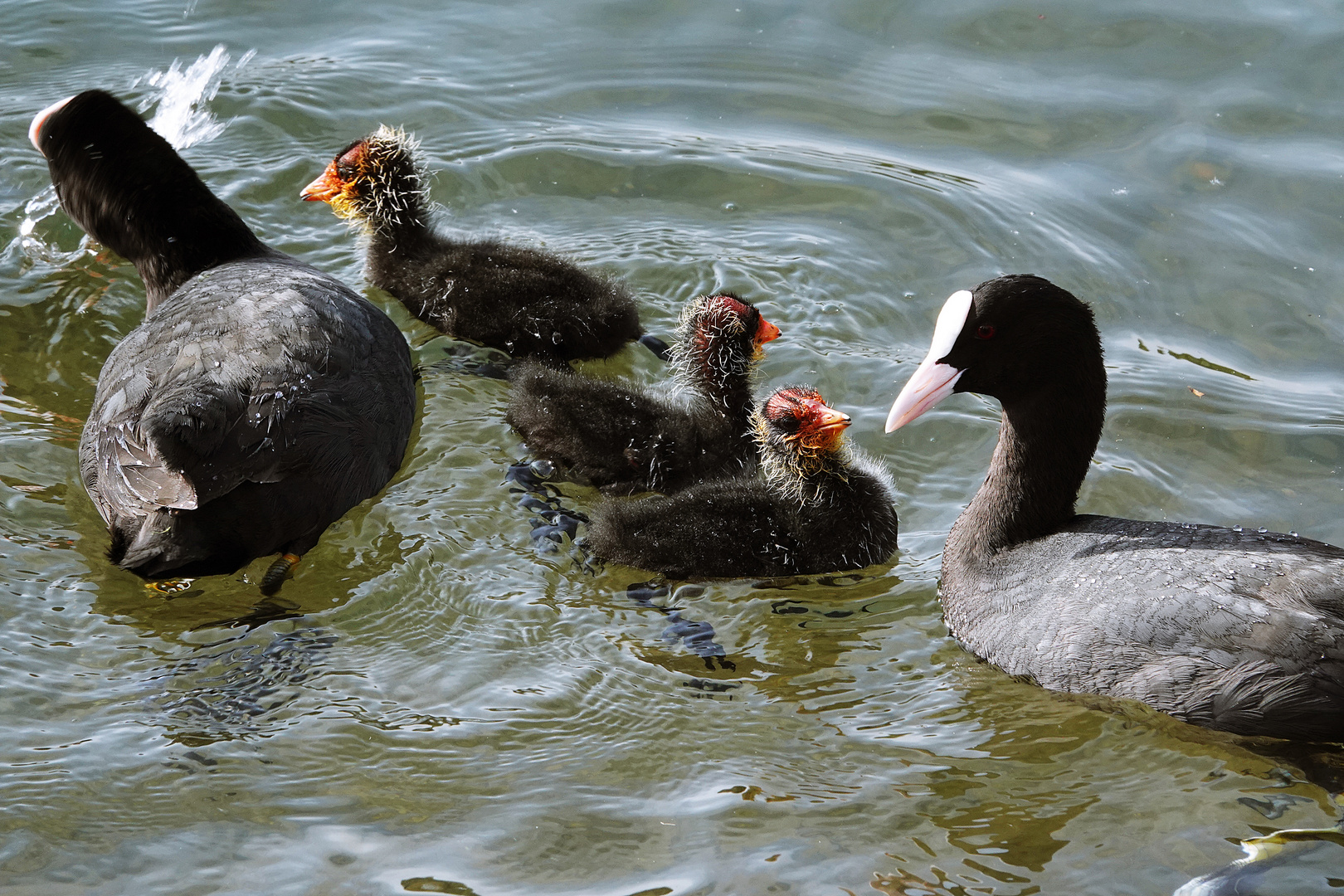 die Familie unter sich