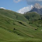 Die Fans von Rapid Wien mähen grüne Streifen in ihre Bergwiesen