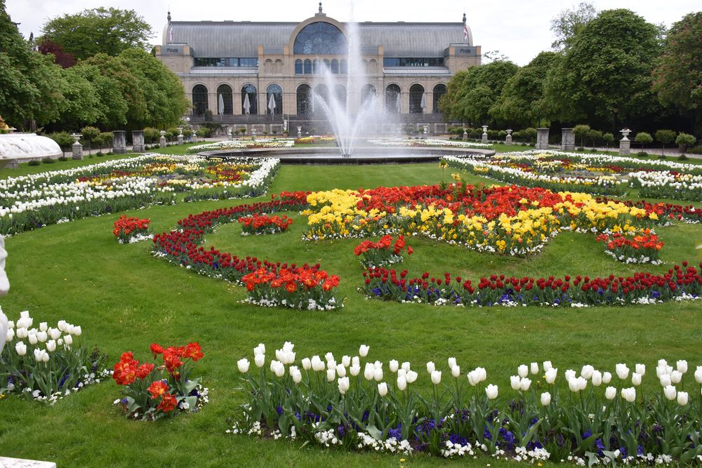 die fantastische flora in köln Foto & Bild outdoor, frühling, köln