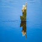 Die Farbe Blau, Wasser und Spiegelung am einem Montag.